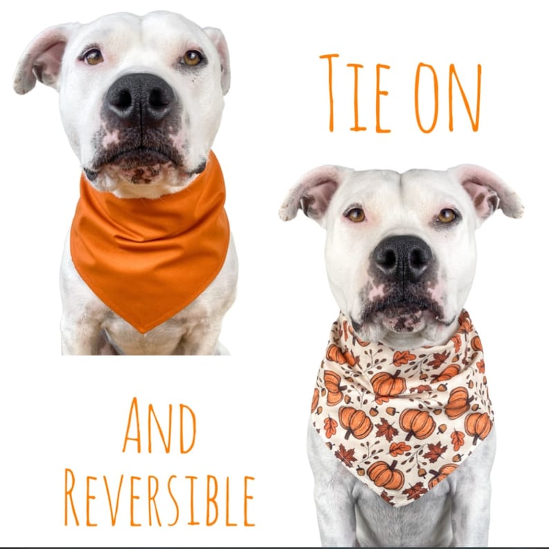 Bandanas are tie on and reversible. The backing is a light orange gingham plaid.