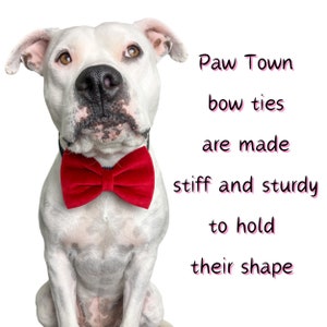 Paw Town bow ties are made stiff and sturdy to hold their shape.