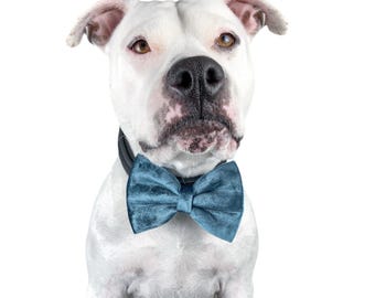 Blue Velvet Dog Bow Tie, Christmas Dog Bow Ties, Cat Bow Tie, Blue Bowtie For Dogs, Shiny Velvet Dog Collar Bow, Gift For Dogs, Pet Bows