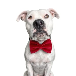 Red Velvet Dog Bow Tie, Christmas Dog Bow Ties, Cat Bow Tie, Red Bowtie For Dogs, Velvet Dog Collar Bow, Gift For Dogs, Pet Bows