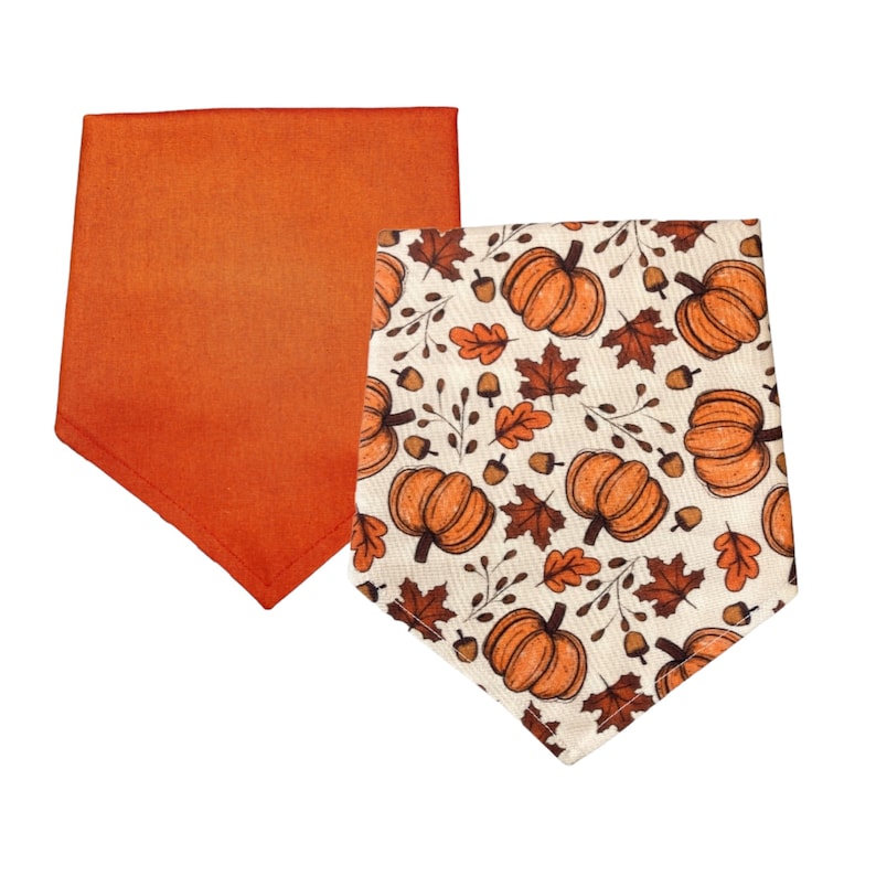 A dog bandana with fall pumpkins and leaves scattered around a beige background.