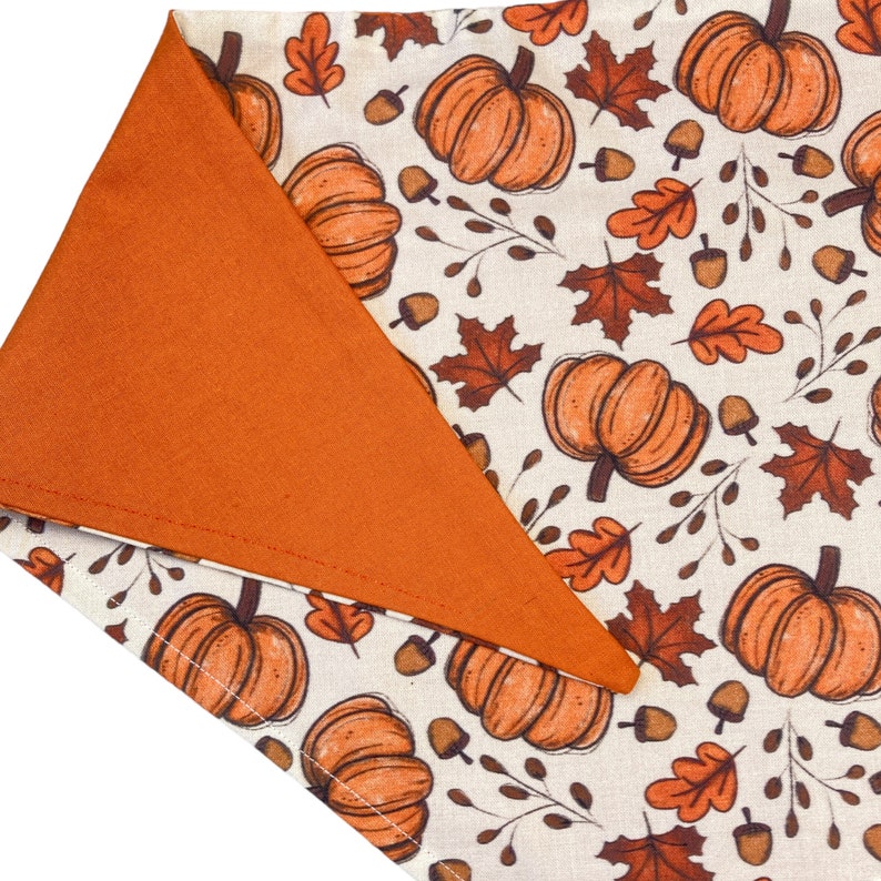 The bandana features orange pumpkins and leaves and is paired with an orange gingham backing.