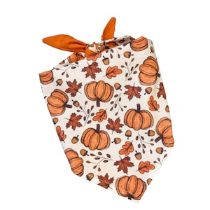 Peut inclure: Un bandana blanc avec un motif de citrouilles orange, de feuilles brunes et de glands. Le bandana est noué en haut.