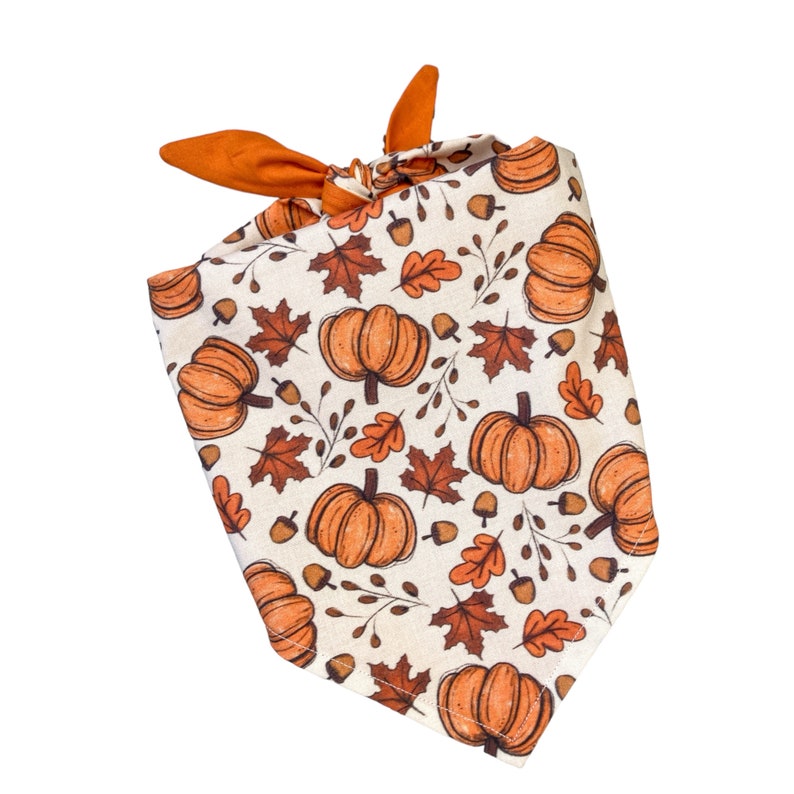 A dog bandana with fall pumpkins and leaves scattered around a beige background.