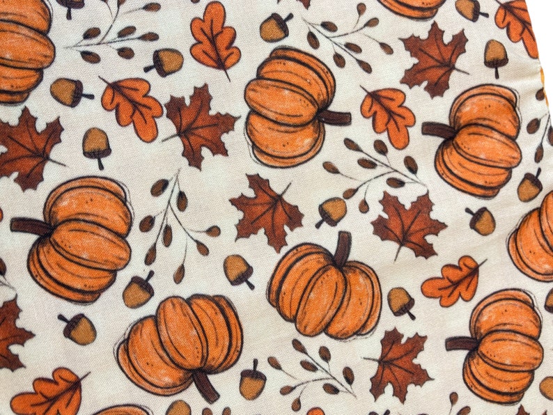 The bandana features orange pumpkins and leaves and is paired with an orange gingham backing.