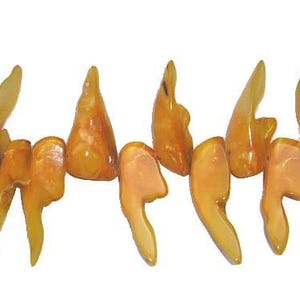 Natural 11x32mm-14x45mm Mother Of Pearl Shell Yellow Tooth-Shaped Beads Genuine Gemstone