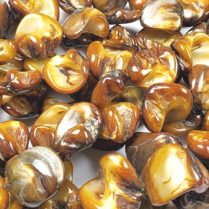 Natural 16x21mm Brown Mother Of Pearl Smooth Nuggets Genuine Gemstone