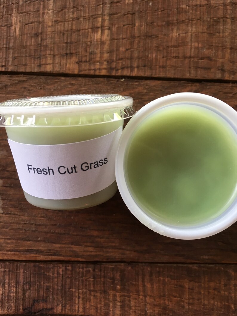 Fresh Cut Grass Wax Melt Etsy