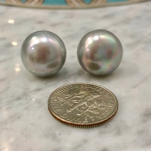 13.5mm HUGE Silver Freshwater BUTTON Pearl Stud Earrings on Sterling Posts