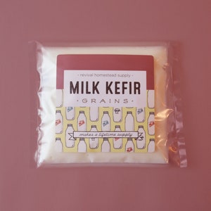 Milk Kefir Grains