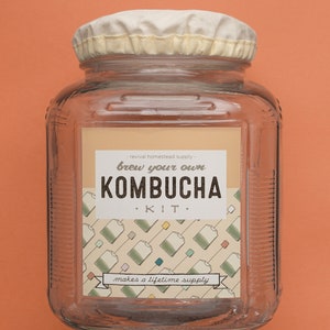 Kombucha Kit, Brew Your Own with 1 Gallon Jar