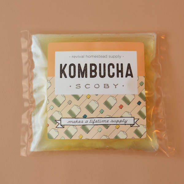 Kombucha SCOBY