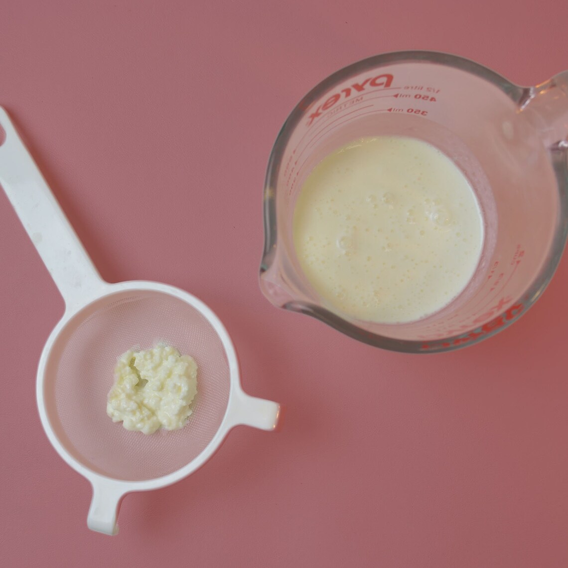 Milk Kefir Kit Make Your Own Etsy
