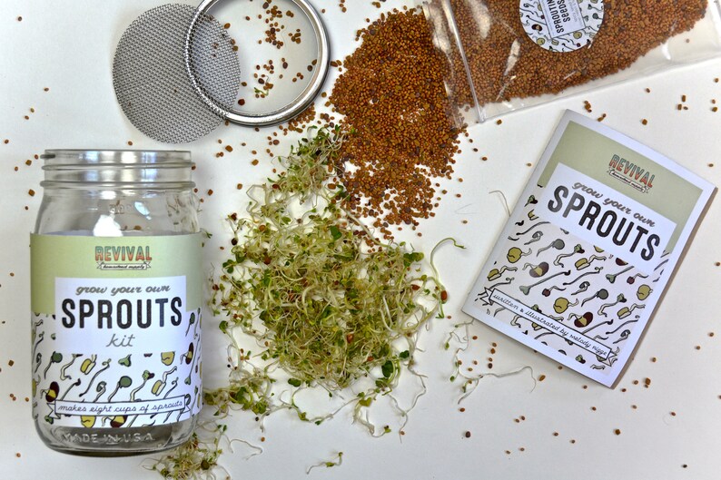 Sprouting Kit Grow Your Own Sprouts NEW AND IMPROVED Etsy