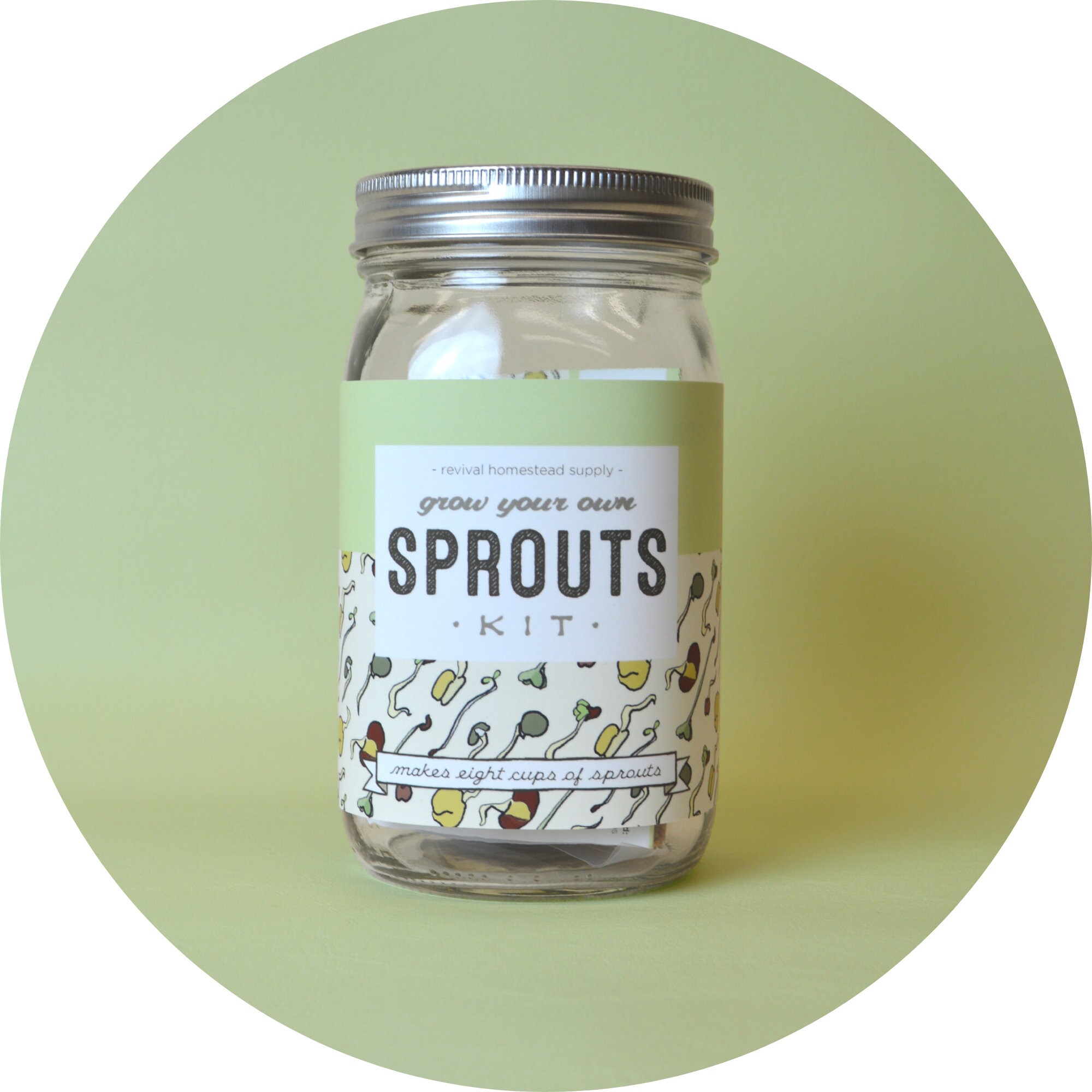 Sprouting Kit Grow Your Own Sprouts Etsy