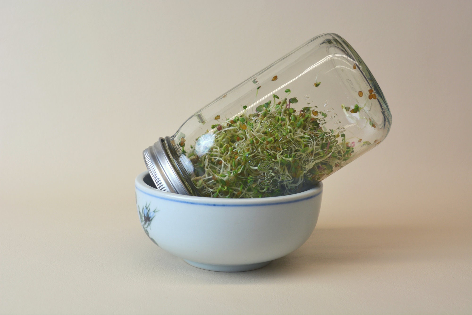 Sprouting Kit Grow Your Own Sprouts Etsy