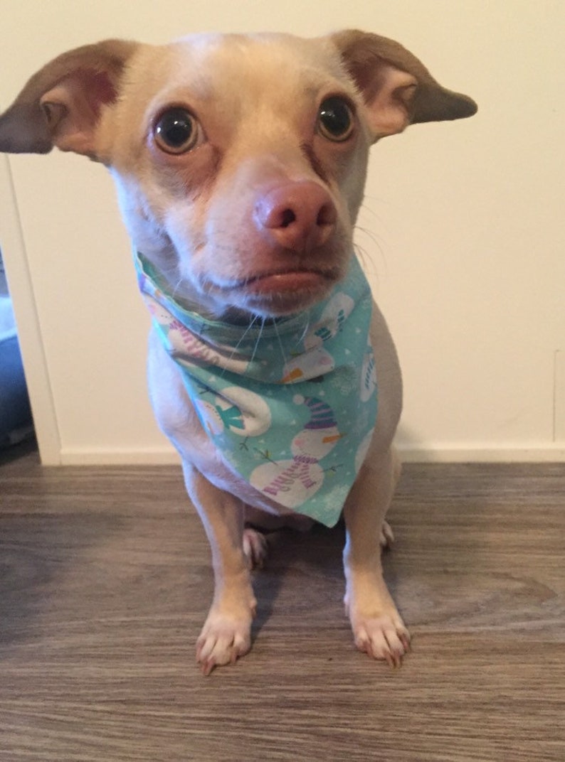 Snowman Pet Bandana