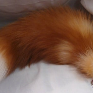 Real Red Fox tail to attach to a purse, backpack, or rear view mirror. length 15-18 inches long,