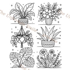 Peut inclure: Dessin en noir et blanc de six plantes et fleurs en pot. L'image pr&eacute;sente une plante &agrave; grandes feuilles, un bouquet floral, une plante suspendue, une plante d'aloe vera, une plante monstera et un groupe de marguerites.