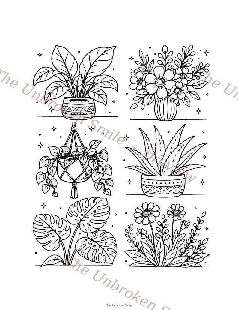 Peut inclure: Dessin en noir et blanc de six plantes et fleurs en pot. L'image pr&eacute;sente une plante &agrave; grandes feuilles, un bouquet floral, une plante suspendue, une plante d'aloe vera, une plante monstera et un groupe de marguerites.