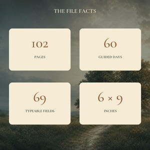 May include: A digital information graphic titled THE FILE FACTS featuring four cream-colored rectangular boxes with rounded corners. The text displays 102 PAGES, 60 GUIDED DAYS, 69 TYPEABLE FIELDS, and 6 x 9 INCHES in a dark brown serif font.