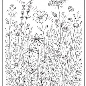 Peut inclure: Dessin au trait en noir et blanc de fleurs sauvages dans un champ. L'image pr&eacute;sente diff&eacute;rents types de fleurs, dont des marguerites et d'autres fleurs d&eacute;licates, au milieu de hautes herbes et de tiges. Le texte "The Unbroken Smile" est dans l'image.