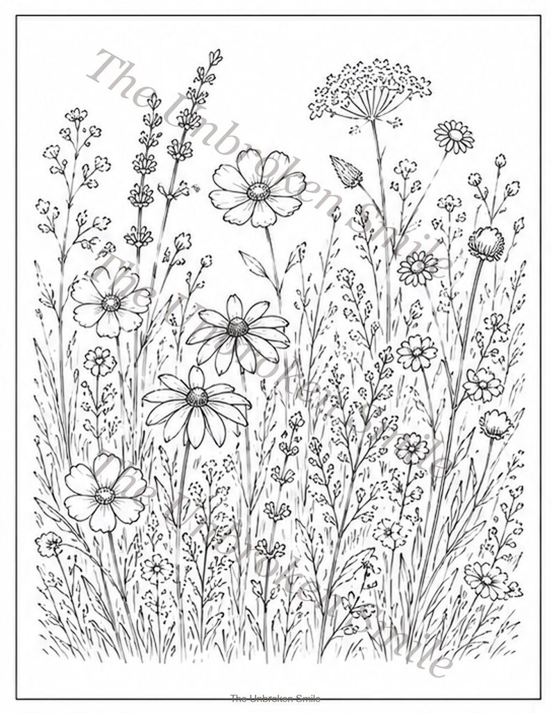Peut inclure: Dessin au trait en noir et blanc de fleurs sauvages dans un champ. L'image pr&eacute;sente diff&eacute;rents types de fleurs, dont des marguerites et d'autres fleurs d&eacute;licates, au milieu de hautes herbes et de tiges. Le texte "The Unbroken Smile" est dans l'image.