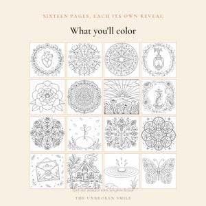 Color Your Next Chapter Living Edition | Interactive Adult Coloring Book | Digital Download | Midlife Reflection | Browser No App image 10