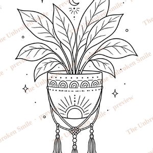 May include: Black and white line art illustration of a potted plant with large leaves. The pot is decorated with a sun and rainbow design, and hangs from a macrame hanger with tassels. Stars and a crescent moon are also included.