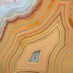 May include: Close-up of a slice of agate with a variety of colors, including orange, brown, and white. The agate has a unique pattern of concentric circles and lines.
