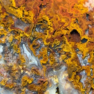May include: Close-up of a polished agate stone with a swirling pattern of white, brown, and yellow. The stone has a rough, textured surface.
