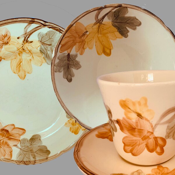 Franciscan Autumn Etsy