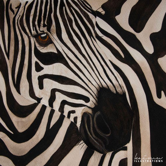 limited edition zebra zebra african animals zebra print etsy