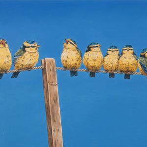 Op de afbeelding: Een rij van zeven blauwe en gele vogels die op een waslijn zitten tegen een helderblauwe lucht. De vogels kijken allemaal naar voren en hebben hun snavels open alsof ze zingen.