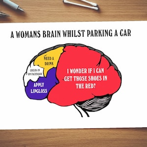 Een vrouwenbrein tijdens het parkeren van een auto| Sarcasme Kaart| Onbeschofte verjaardagskaart| Grappige verjaardagskaart| Belediging| Beledigend| Hersenen| Grappig| Lipgloss| Facebook| Schoenen