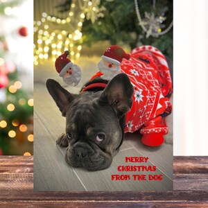 Joyeux Noël avec un chien|Carte amusante|Carte de Noël|Drôle|Noël|Noël|Rire|Moi|Idiot|Carte de Noël drôle|Carte de chien|Animal de compagnie|Chien