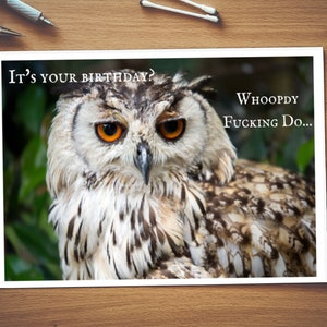 C’est ton anniversaire, Whoopy Fucking Do| Carte grossière| Carte brute| L’insulte| Carte insultante| Carte d’anniversaire| Carte générale|30| Du bois| C’est drôle| Drôle de carte| Hibou| baiser