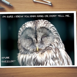 Je suis sûr que je vous connais, sperme glouton | Carte de rude | Brut carte | Insulte | Insulte carte | Carte d’anniversaire | Carte générale | Fuck | Drôle | Hibou | La nature | Sperme | Sperme