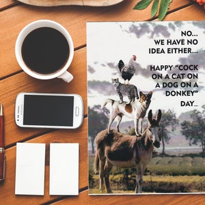 Joyeux anniversaire Animaux aléatoires Carte insultante Carte d’anniversaire Rude Funny Birthday Card Insulte Insultant Coq PouletMD Chat Chien L’âne Bizarre