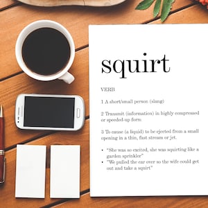 Signification du dictionnaire squirt