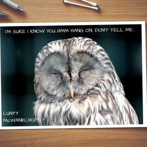 Je suis sûr que je sais que vous, McWankChops Cunty | Carte de rude | Brut carte | Insulte | Insulte carte | Carte d’anniversaire | Carte générale | Fuck | Drôle | Hibou | La nature | Chatte | Wank