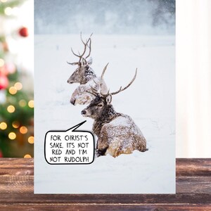 Non è rosso e non sono Rudolph/Biglietto divertente/Biglietto di Natale/Divertente/Natale/Natale/Ridere/Io/Sciocco/Biglietto di Natale divertente/Renna/Rudolph