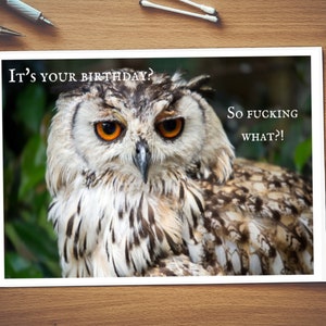 Son ton anniversaire, So Fucking quoi ? ! | Carte de rude | Brut carte | Insulte | Insulte carte | Carte d’anniversaire | Carte générale | 30 | Bois | Drôle | Carte drôle | Hibou | baiser