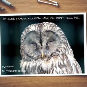 Je suis sûr que je sais que vous, McTwatterson Twatty | Carte de rude | Brut carte | Insulte | Insulte carte | Carte d’anniversaire | Carte générale | Fuck | Drôle | Hibou | La nature | Chatte