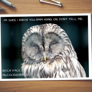 Je suis sûr que je sais que vous, BitchFace McCockGobbler | Carte de rude | Brut carte | Insulte | Insulte carte | Carte d’anniversaire | Carte générale | Fuck | Drôle | Hibou | Nature