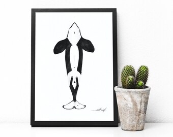 Orca | killer whale spyhopping watercolor Akris