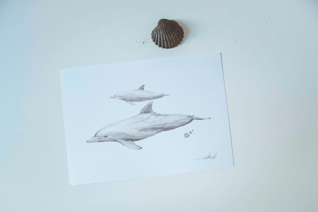 Watercolour Print Bottlenose Dolphins A5 - Etsy