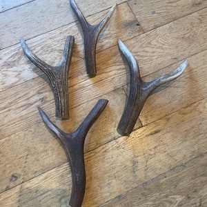 May include: Four deer antlers, naturally shed, with varying shapes and colours. The antlers display a mix of brown, tan, and off-white hues, with a textured surface. They are arranged on a wooden floor.