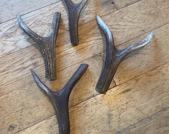 May include: Four deer antlers, naturally shed, with varying shapes and colours. The antlers display a mix of brown, tan, and off-white hues, with a textured surface. They are arranged on a wooden floor.