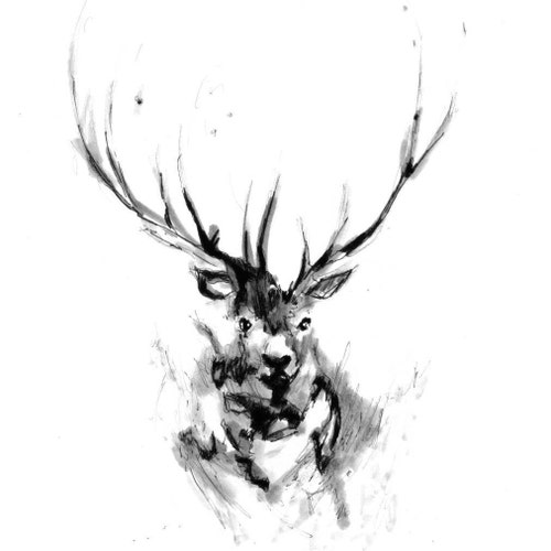 左右対称の大きな鹿の角 - Etsy 日本